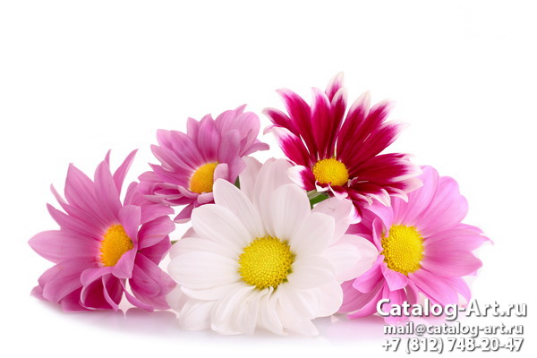 Pink flowers 48